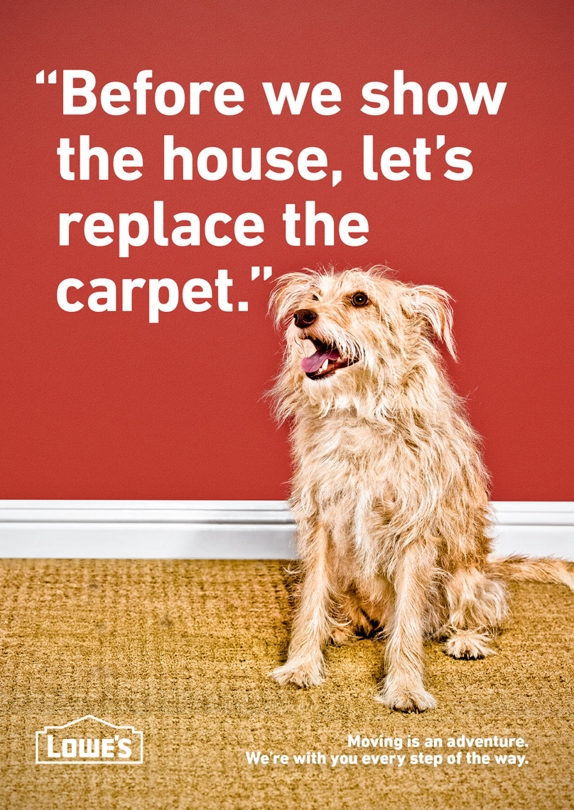 Los Angeles Photographer | Dana Hursey Photography | Animal Photography | Stinky Carpet